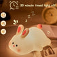 Cute Littale Rabbit Silicone Night Lamp